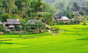 Vân Hồ khơi dậy tiềm năng du lịch