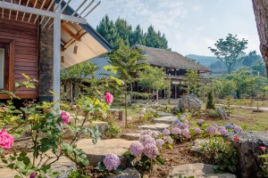 the nordic van ho12 (Copy)