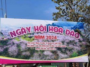 Ngày hội Hoa đào xã Lóng Luông năm 2024