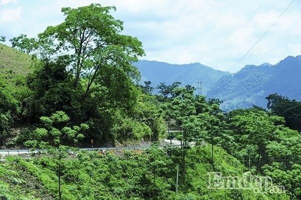 Trốn nóng mùa hè, khám phá thác Chiềng Khoa