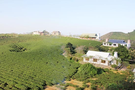 Mộc Sương - Điểm du lịch mới, hấp dẫn trên cao nguyên Mộc Châu