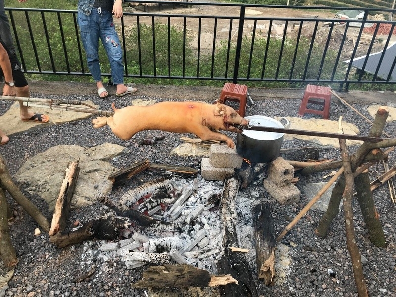 trai nghiem nong nghiep moc suong (3)