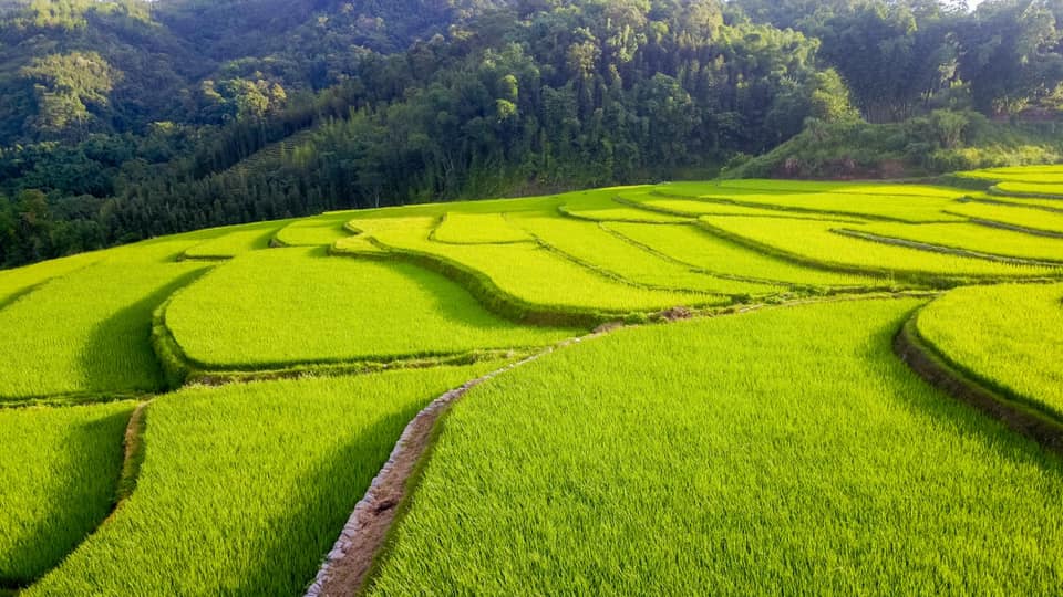 Review dải lụa xanh- Đồng lúa bản Suối Lìn của người Dao Vân Hồ