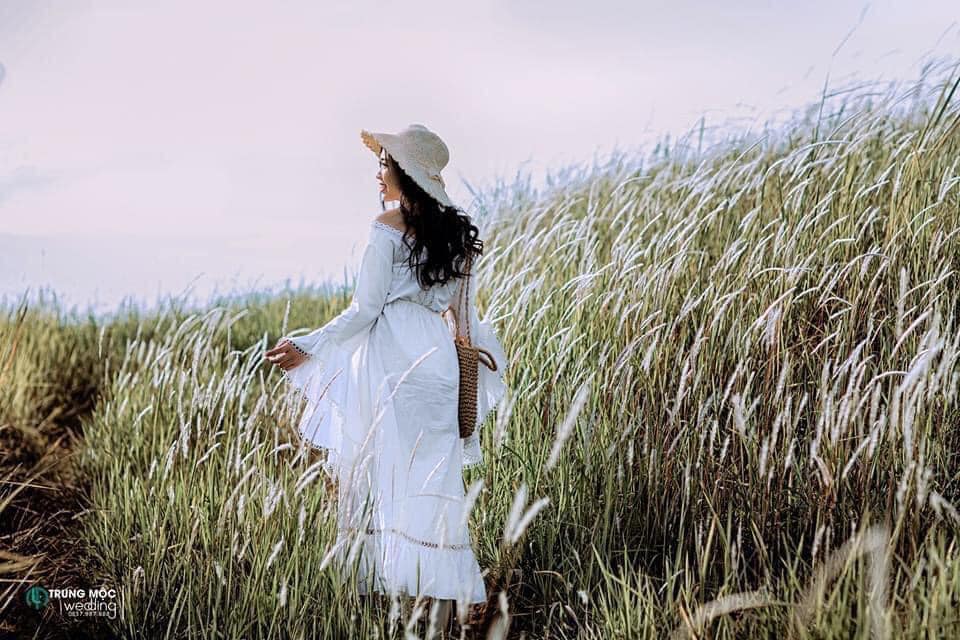 dong co sao do van ho moc chau5