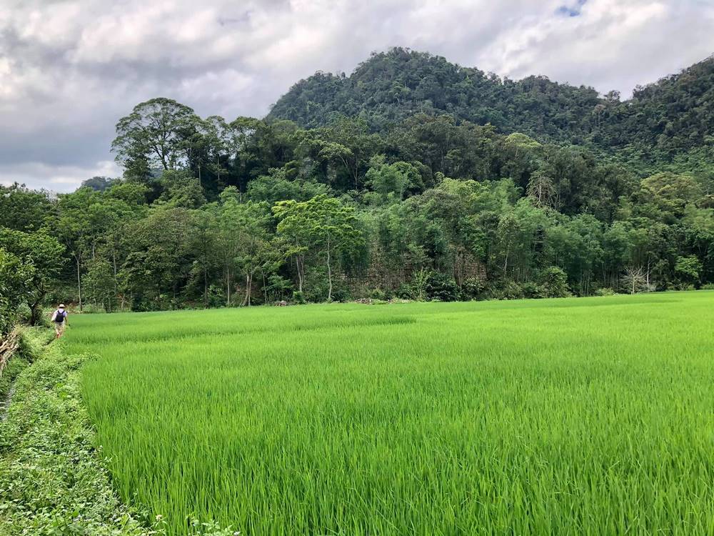 ban buot chieng yen du lich van ho (10)