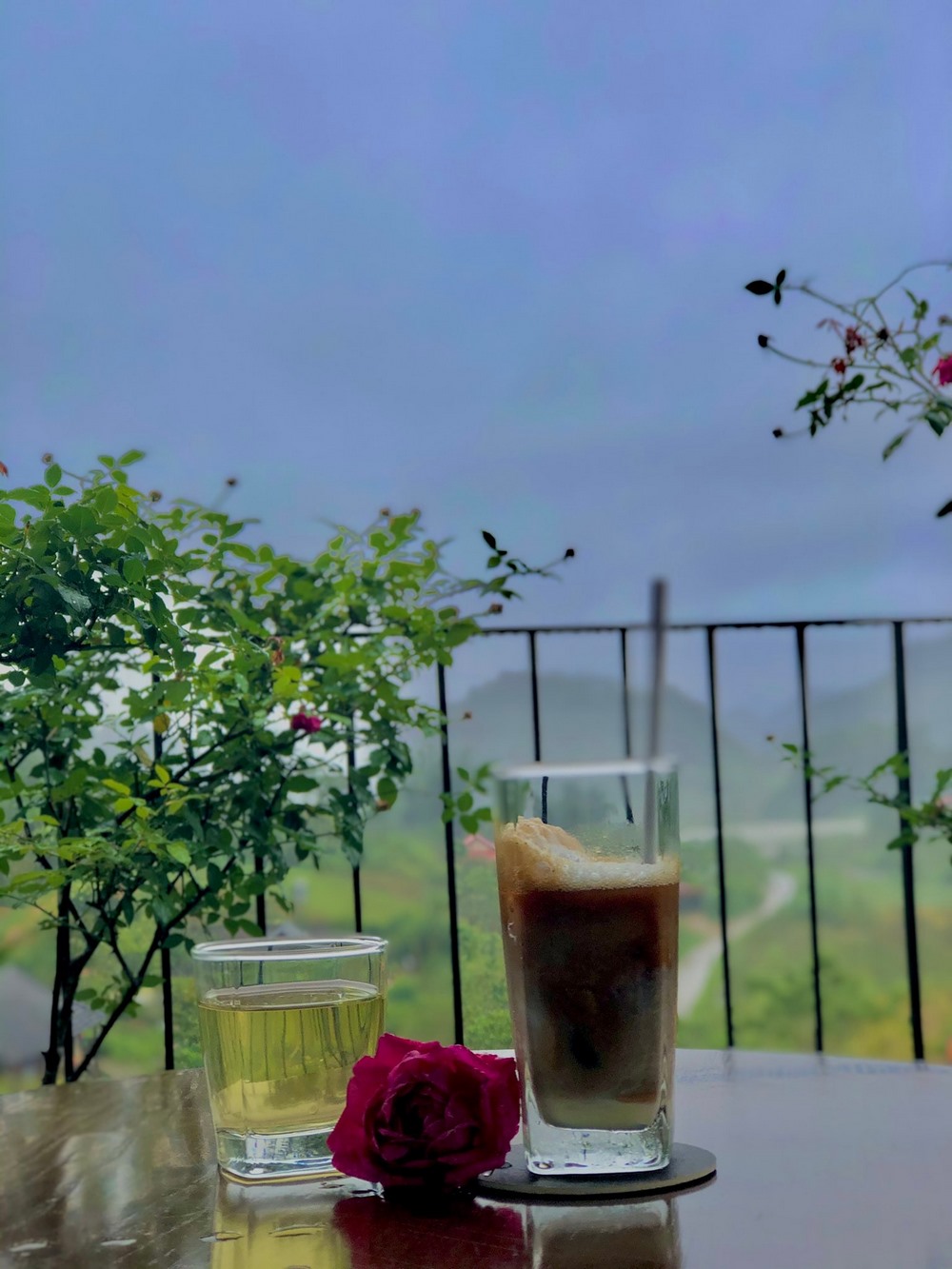 nha hang vigolando van ho (12)