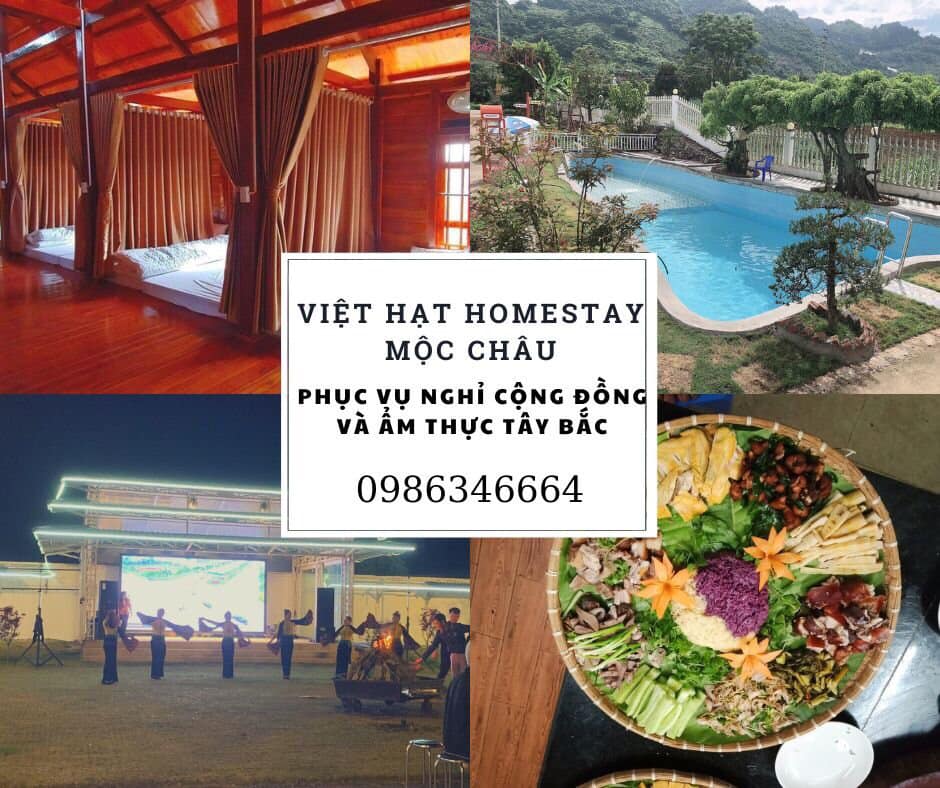 viet hat moc chau homestay (4)