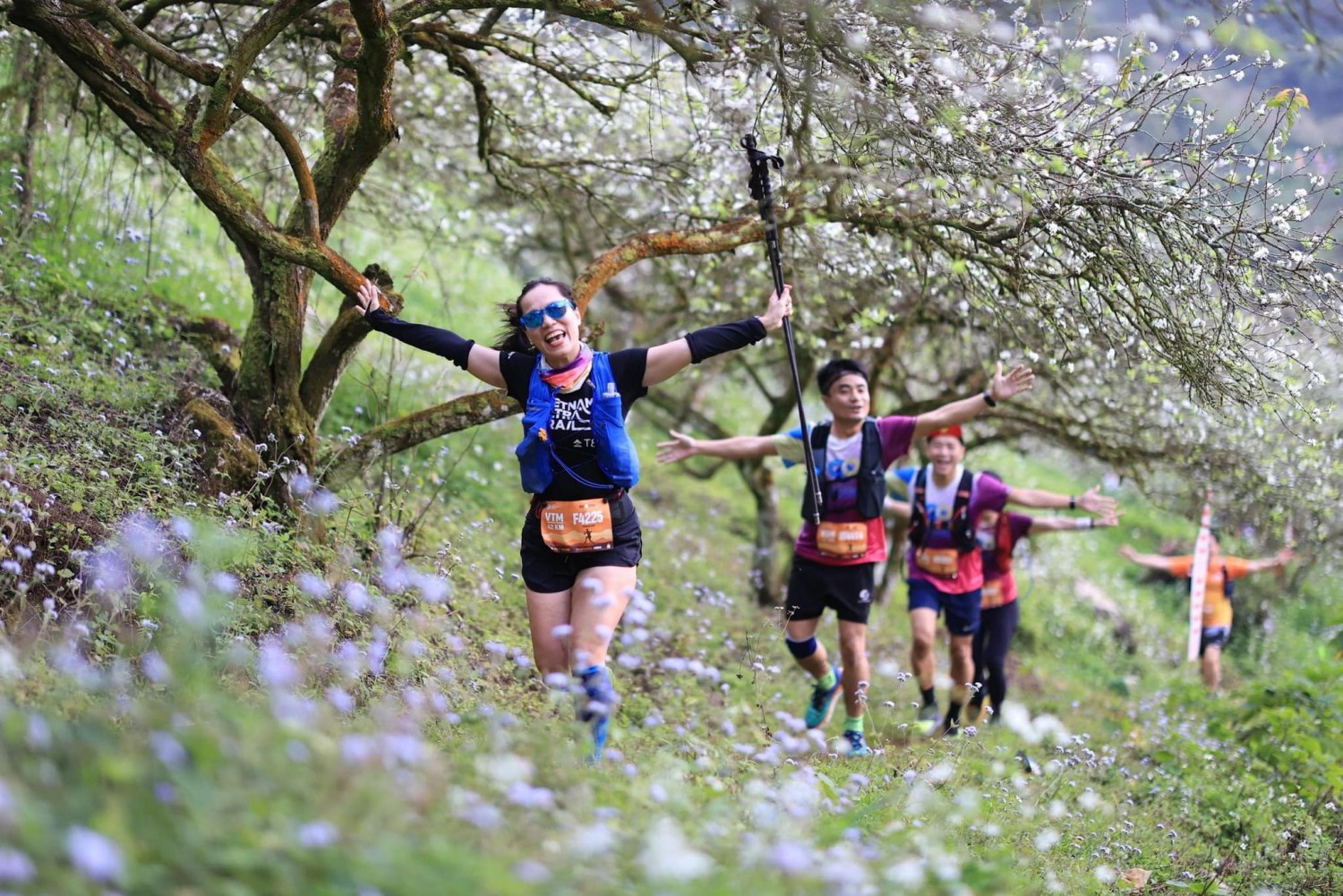 các VĐV chạy qua vườn mận 