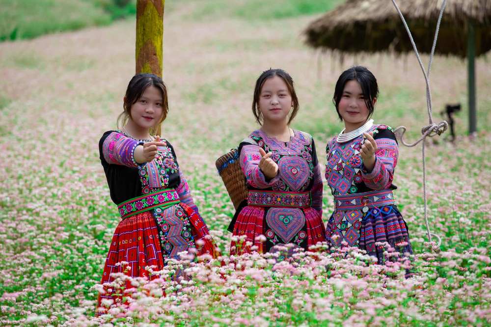 tam giac mach van ho (1)