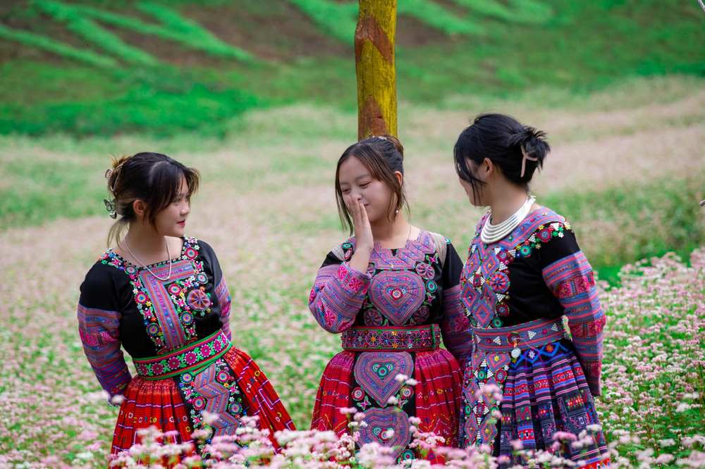 tam giac mach van ho (2)