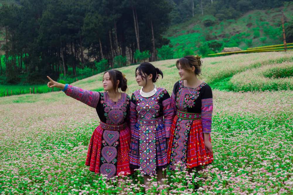 tam giac mach van ho (3)